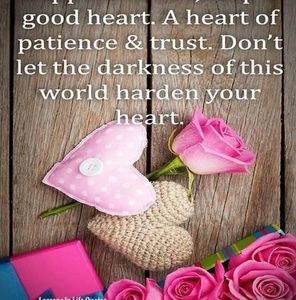 Meet your Posher, Ann